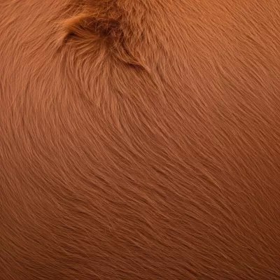 Imagen PNG para descargar